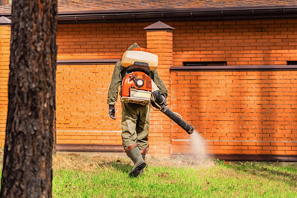 Trusted Ant Control service in North Plainfield, NJ - Nex Pest Control